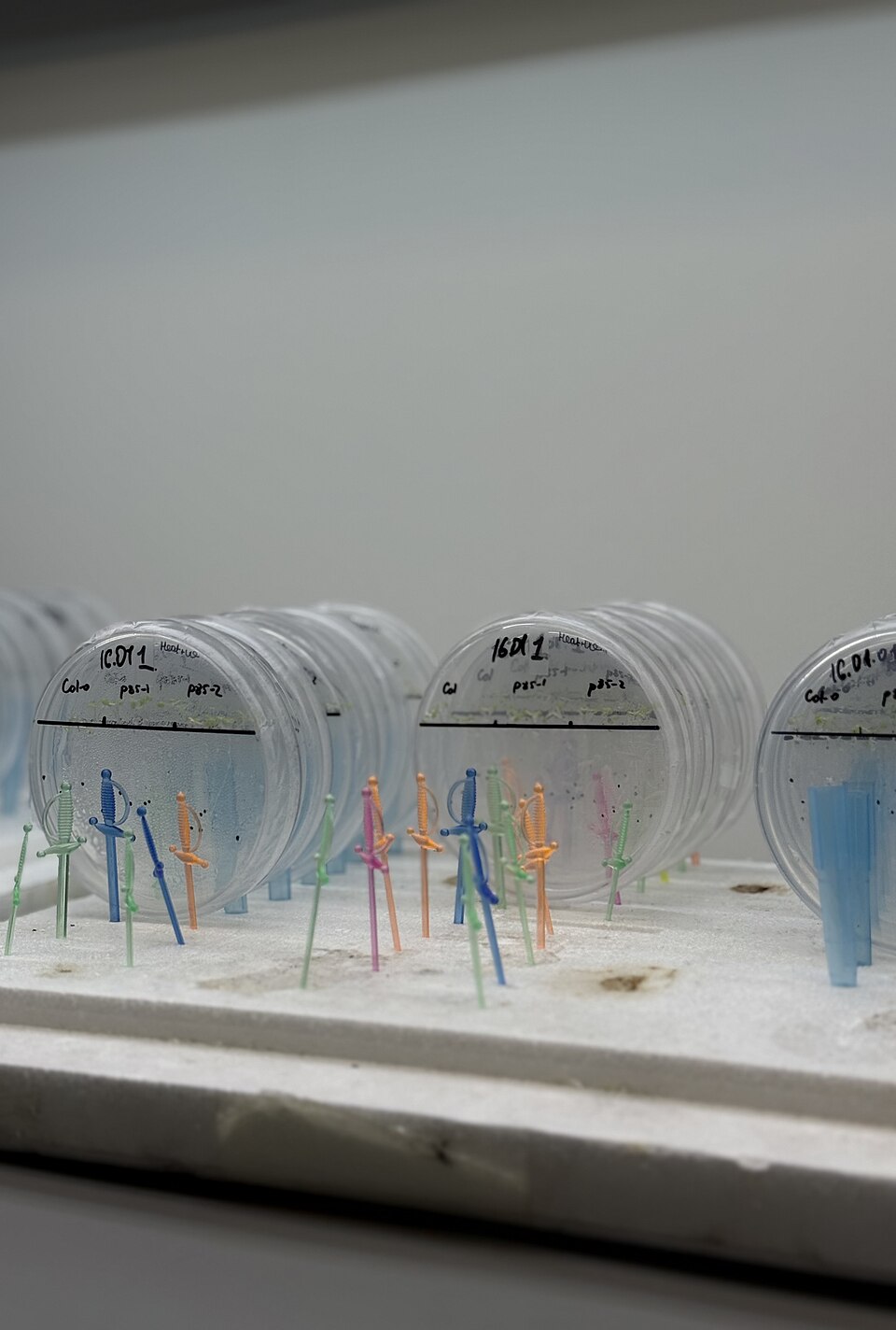 Biology laboratory 2026.jpg